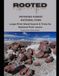 Rooted: Petrified Forest National Park: Large‑Print Word Search & Trivia for National Park Lovers