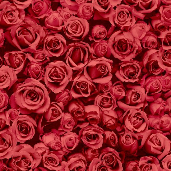 Dutch Wallcoverings Escapade rozen rood