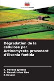 Dégradation de la cellulose par Actinomycete provenant d'Eisenia foetida