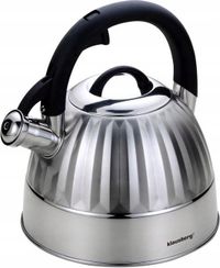 KLAUSBERG Top Choice Fluitketel - 3L - RVS - Alle Warmtebronnen - Zilverkleurig