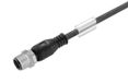 Weidmüller 1311700300 Câble de connexion capteur/actionneur 3 m