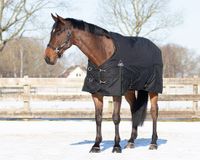 QHP TURNOUT COMBO SET MET ONDERDEKEN EN HALS Zwart