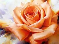 5D Diamond Painting Schilderij Rozen 50 x 40 cm, DIY Diamant Schilderij, Glitter Afbeelding