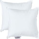 Homescapes Kussenvullingen Set van 2 – 30×30 cm – Supermicrovezel Binnenkussens – OEKO-TEX® – Hypoallergeen – Wasbaar