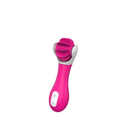 DreamToys Wheel of Fortune clitoris vibrator