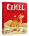 The Camel Who Had The Hump Board Book