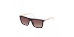 Guess GU00313 Havana Foncé 55/18/140 Homme Lunettes de Soleil