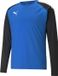 Puma Teamliga Sweater Kinderen - Royal