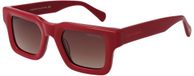 Funky Buddha Sunglasses FBS2041 003 48