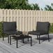 Chaises de jardin en acier avec coussins gris (2 pièces)