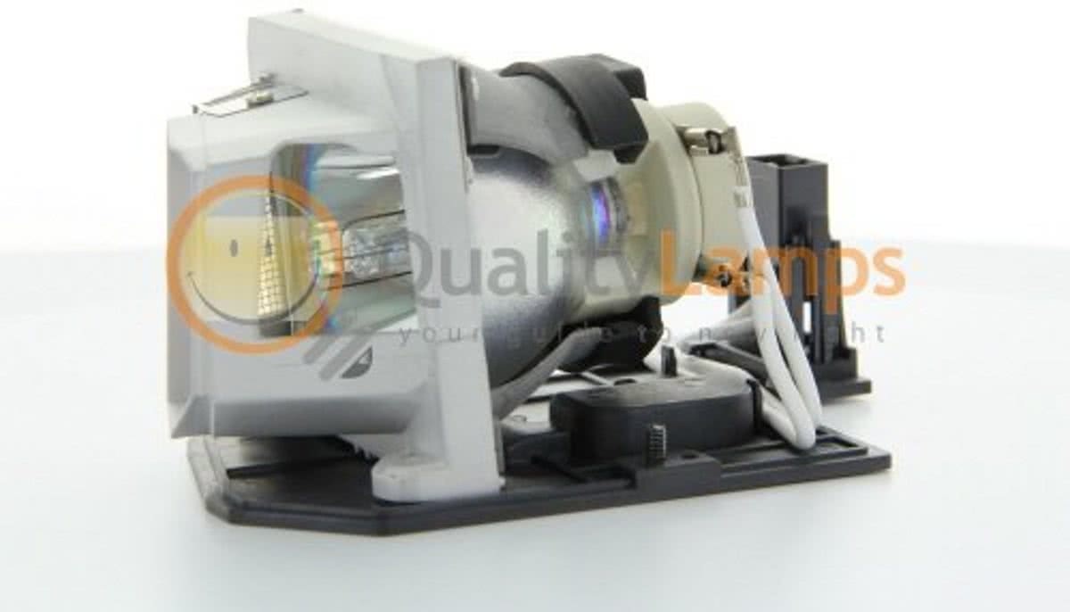 - Optoma BL-FP230D / Optoma SP.8EG01GC01 Beamerlamp (bevat originele P-VIP lamp