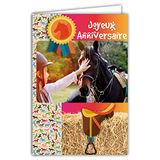 Afie 67-1226 wenskaart voor verjaardag paarden paarden paardrijden kever champions zadel met envelop wit formaat 12 x 17,5 cm