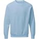 SG Originals Sweatshirt Raglan
