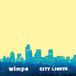 City Youth Riot City Lights LP