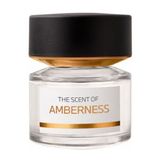 BMW Fragrances Eau de Parfum / 100 ml / Unisex
