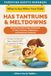 What to Say When Your Child Has Tantrums and Meltdowns: Simple Parenting Scripts Workbook to Calm Tantrums, Meltdowns, and Emotional Outbursts — For Toddlers