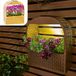 Gadgy Lampe murale solaire avec jardinière amovible – Éclairage de jardin à énergie solaire – LED blanc chaud – 30x25 cm – Métal doré