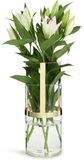 Sagaform Hold Vaas Goud - Large