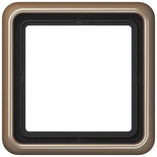 Jung Jonge frame CD581 GB 1-voudig