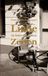 Liebe in interessanten Zeiten Paperback
