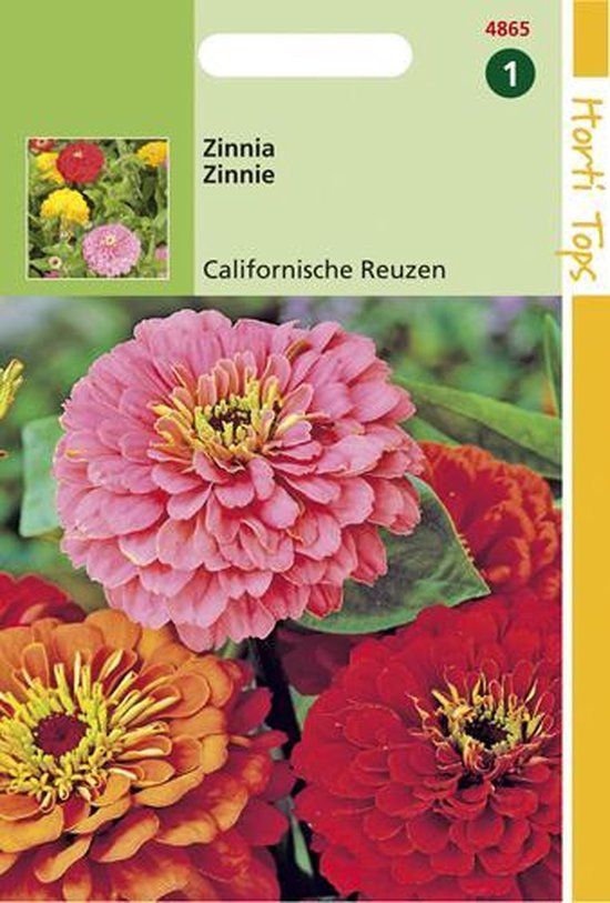 Hortitops Zinnia Californische Reuzen gemengd