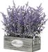 Unyqoos® Plante de lavande artificielle dans un pot rectangulaire en bois antique