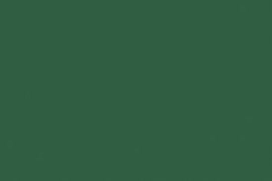 Folia Tekenpapier A4 Dennen Groen 130grs Pak 100 Vel