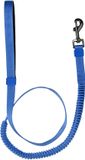 51 Degrees North Wanderful Leash Bungee - Mintgroen