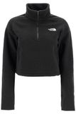 THE NORTH FACE Dames Crop High Pile Fleece Sweatshirt, TNF Black/Npf, M