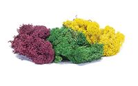 Hornby R7197 Lichen - grote herfst mix schilderachtige materialen, Multi