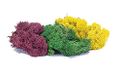 Hornby R7197 Lichen - grote herfst mix schilderachtige materialen, Multi