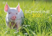 Schweine Edition Lempertz Schweine Kalender 2027