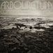 Konkurrent Arbouretum - Coming Out Of The Fog (CD)