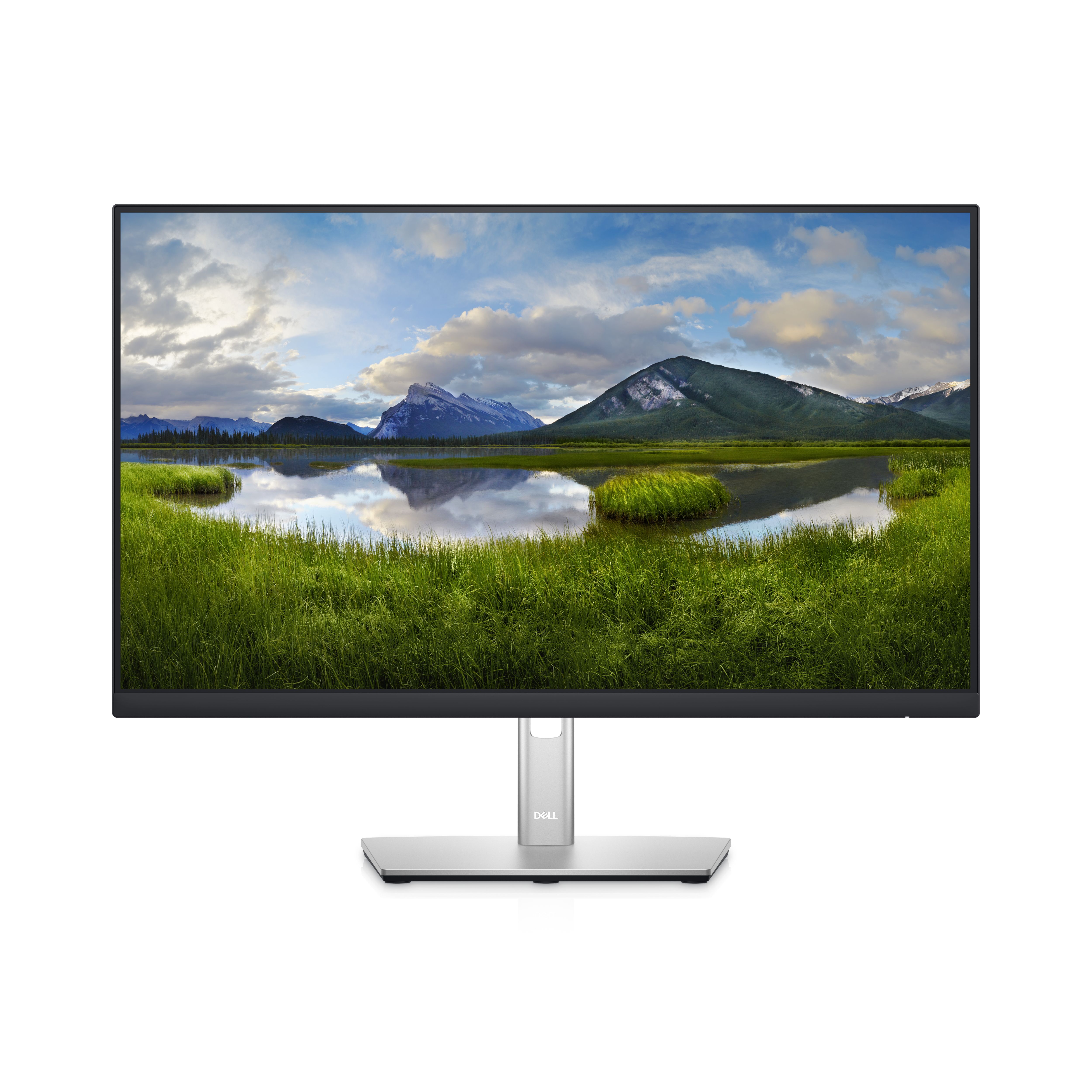Dell P2422HE 23.8" Full HD IPS Monitor with USB-C Hub