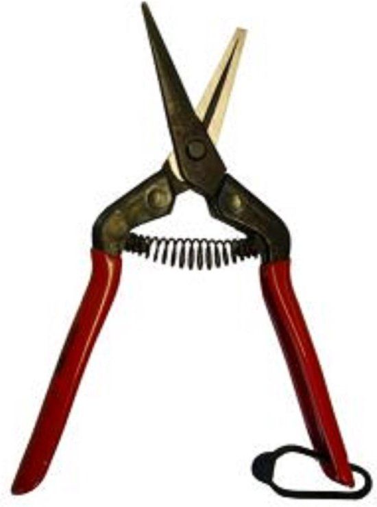 Chikamasa Dunschaar T55C | Recht Model | Rood