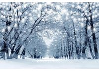 Solidchoice - 7x5ft Arrière-plan d'hiver blanc avec flocons de neige pour photographie