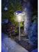 Esotec Sunnylight Lampe de jardin solaire avec détecteur de mouvement 102092 LED Acier inoxydable