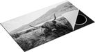 Chefcare Inductie Beschermer Schotse Hooglander Zwart Wit 90x55 cm