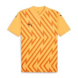 PUMA Teamglory Jersey Jr Uniseks Volwassen Voetbal Shirt
