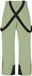 Protest Mens Prtrowens Snowpants Marl Green L