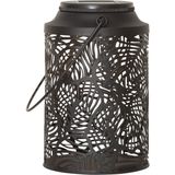 Star Trading 482-66 1 gloeilamp(en) LED 0,03 W