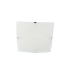 Theluz 501/30 plafondverlichting
