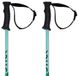 Volkl Phantastick Junior bâtons Argent 95 cm Enfants