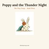 Poppy Independently Published Poppy and the Thunder Night Paperback