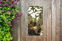 Merkloos / Sans marque GreatGardenPosters B.V. Tuinposter dieren in een boom - 40x80 cm - Wanddecoratie Buiten