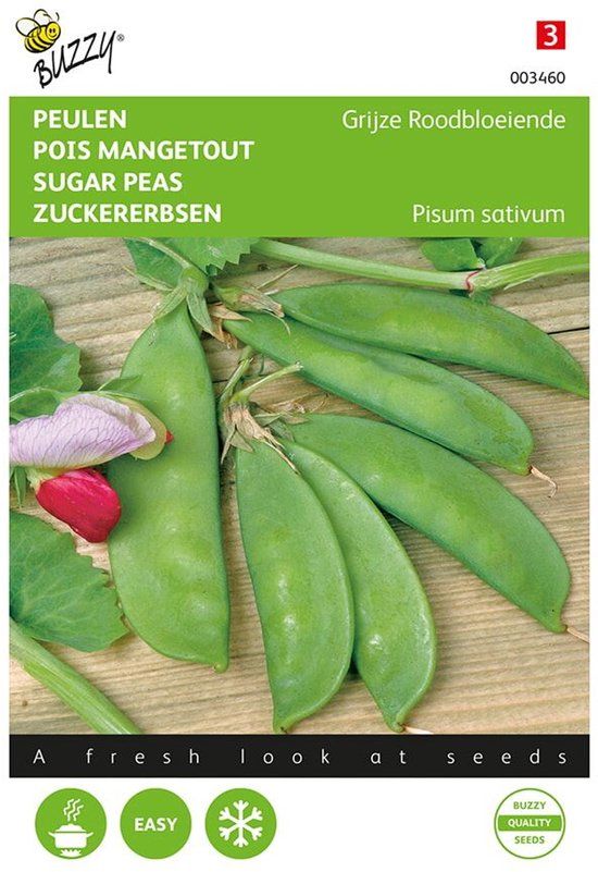 Buzzy Peulen (grijze roodbloeiers 30 g) Pisum sativum