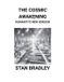 The Libri GmbH The Cosmic Awakening