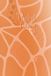 Pocket Color 2: Orange
