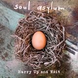 PIAS Nederland Soul Asylum - Hurry Up And Wait (7" Single) (Deluxe Edition)