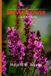 How Libri GmbH How to grow Salvia for beginners: The Ultimate Beginner’s Guide to Growing, Caring for, and Harvesting Stunning Salvia at Home and garden